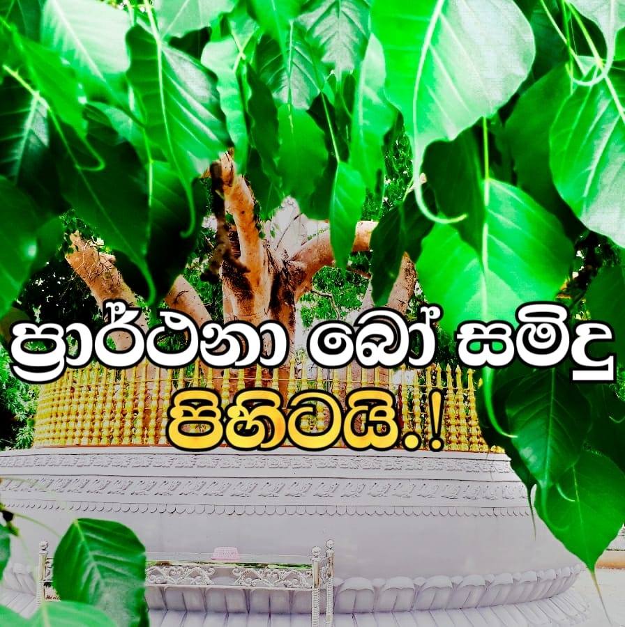 Sri - තෙරුවන් සරණයි ..! (උතුම් ධර්මදානය පිණිස බෙදාහැර අප්‍රමාණ පිං ...
