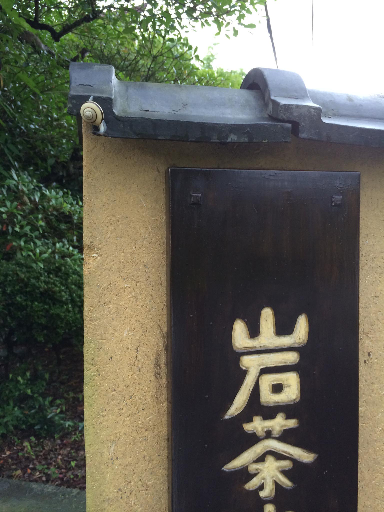 岩 茶房 丹波 ことり