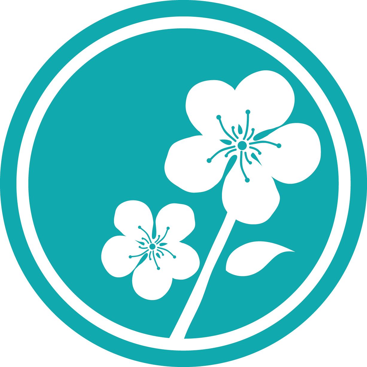 Thrive acupuncture and wellness santa rosa ca