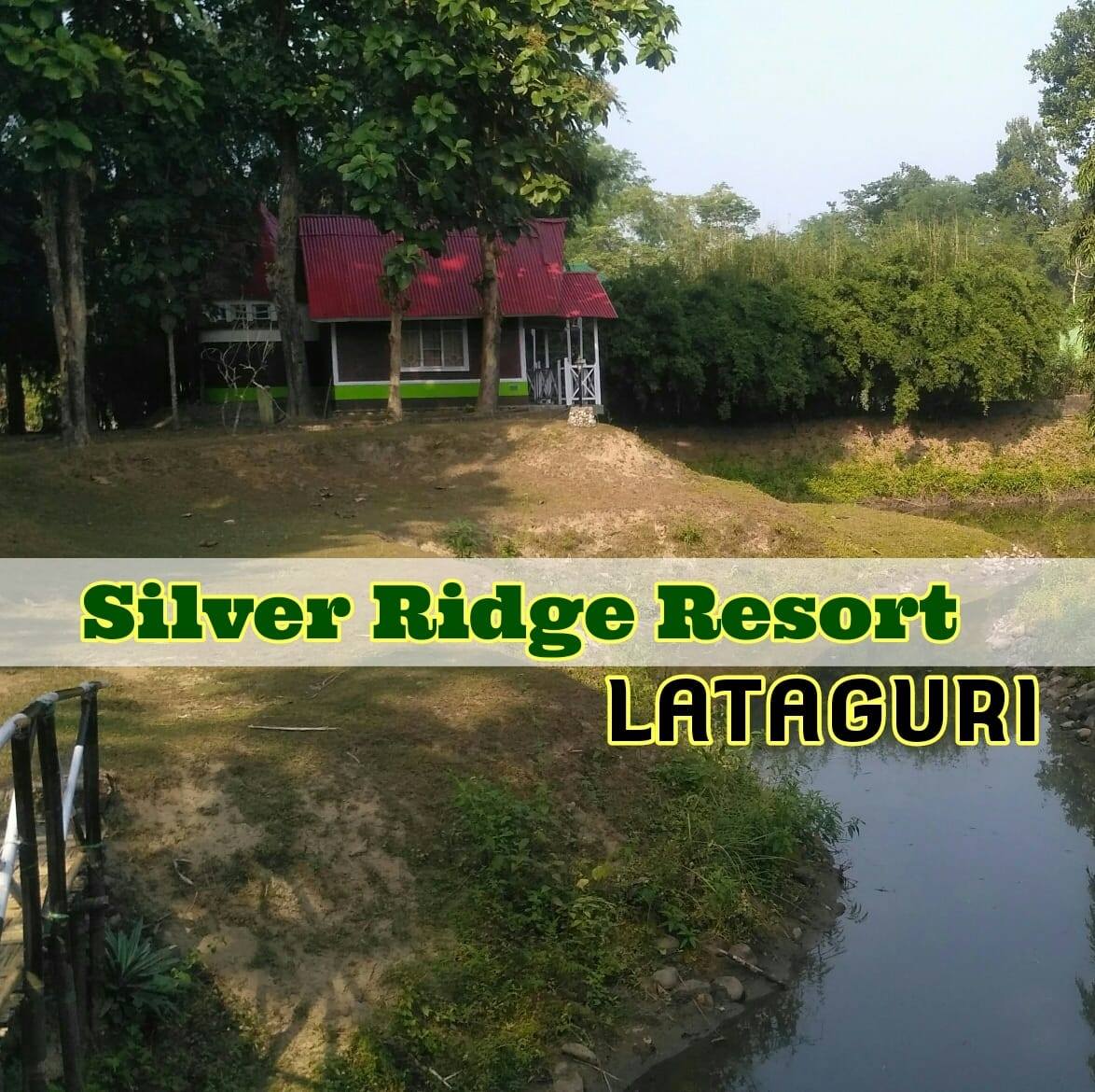 Silver Ridge Resort, Lataguri | Jalpaiguri