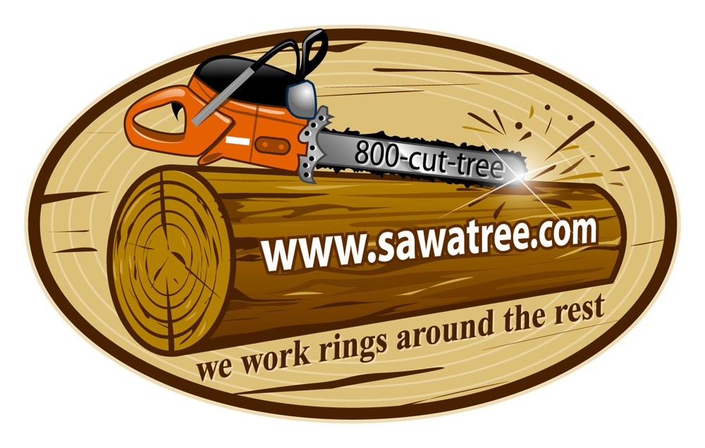 Tree Service Fort Wayne | Fort Wayne IN