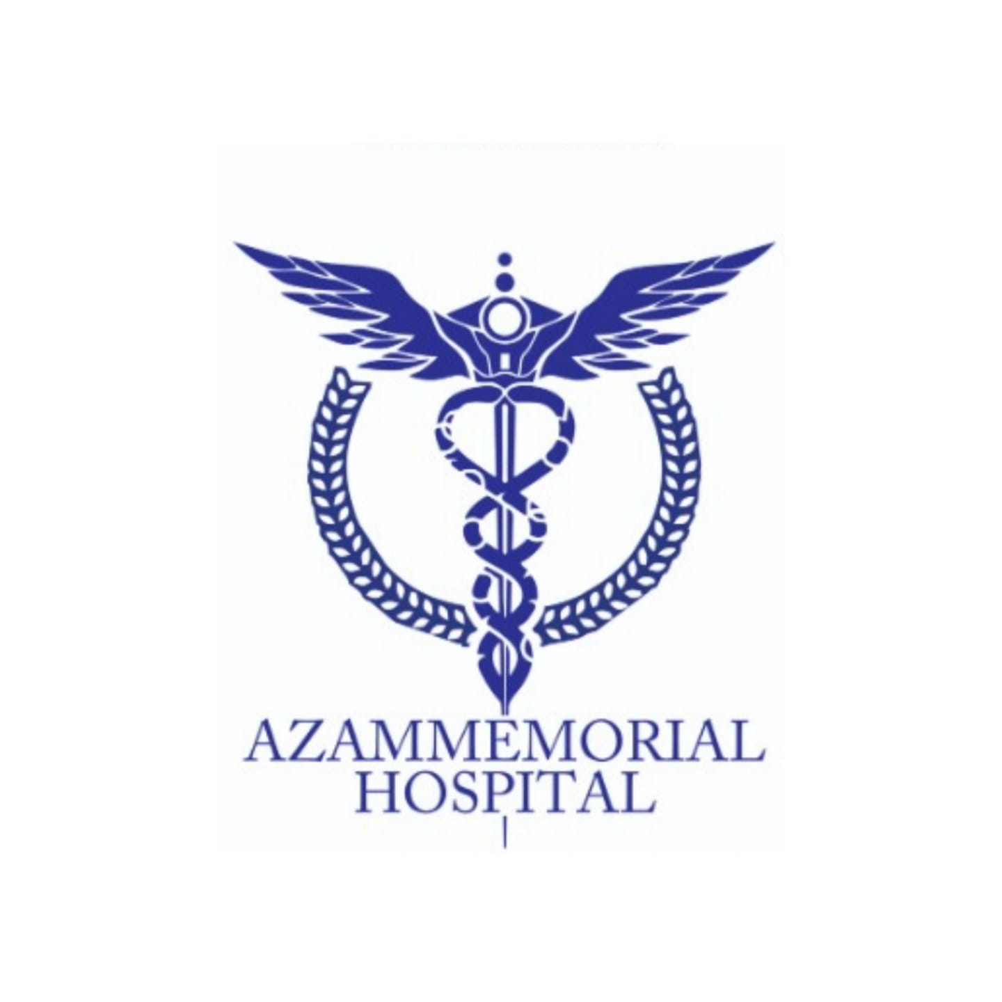 Azam Memorial Hospital
