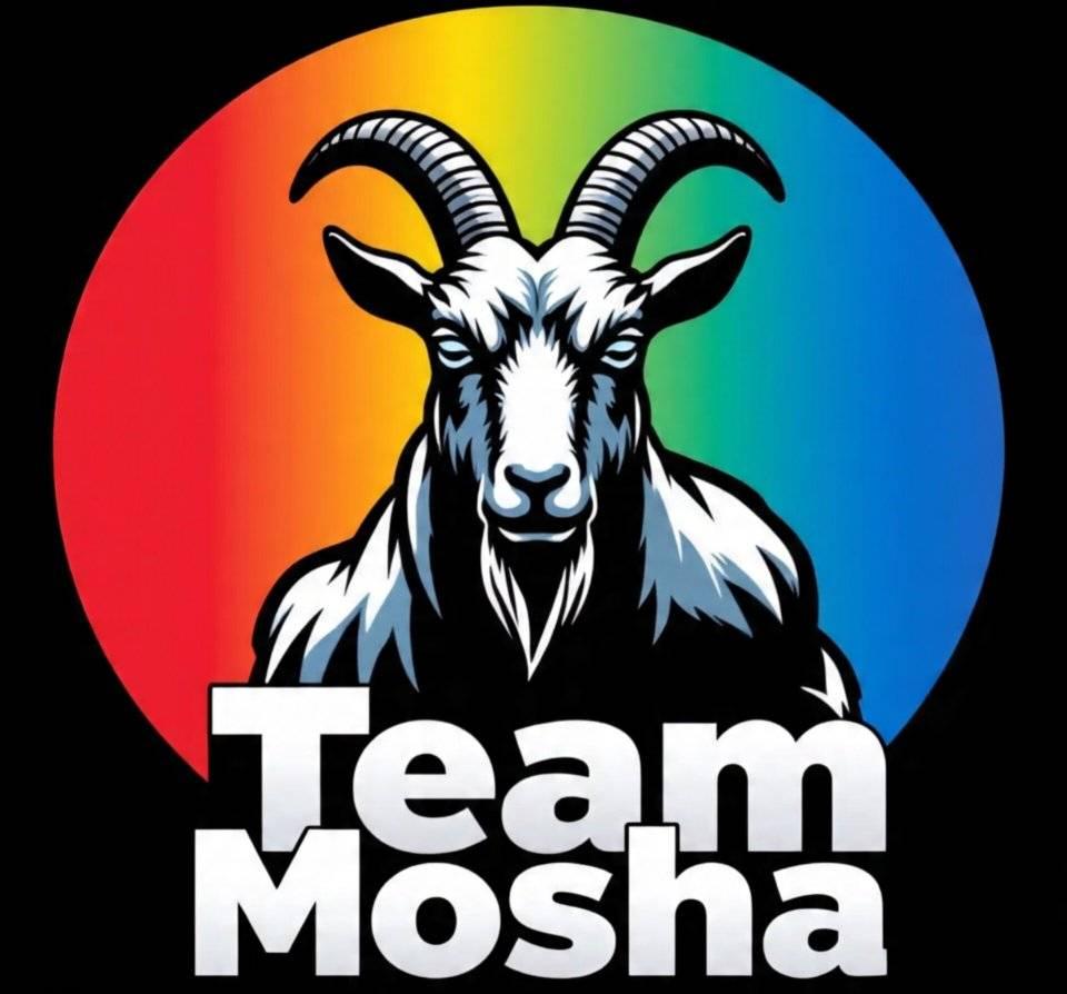 Team Mosha 12