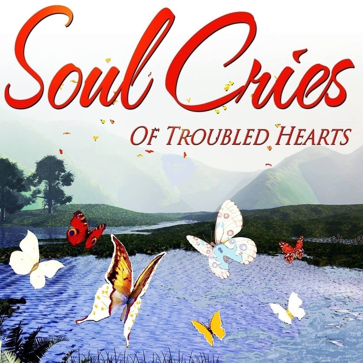 Transitioning Soul Cries