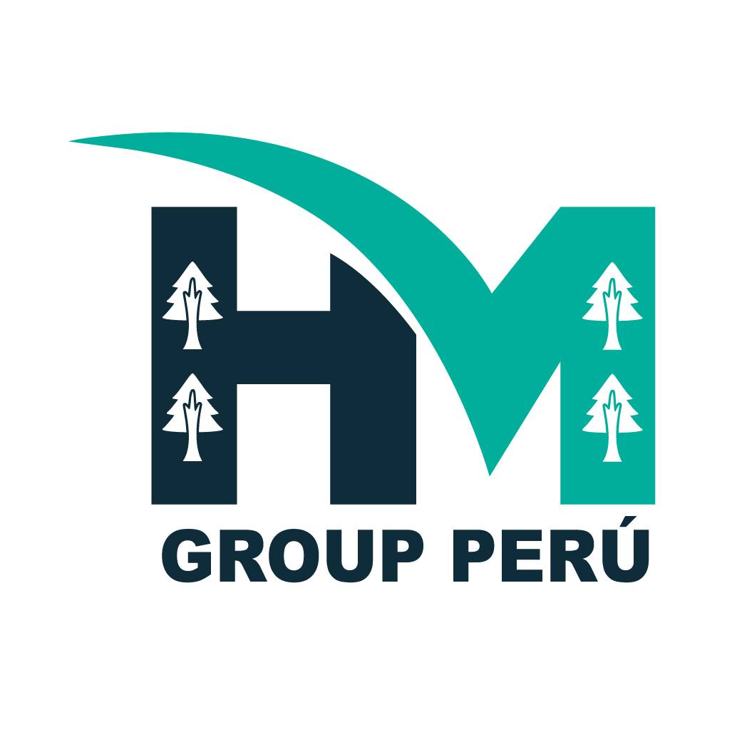 HM GROUP PERÙ