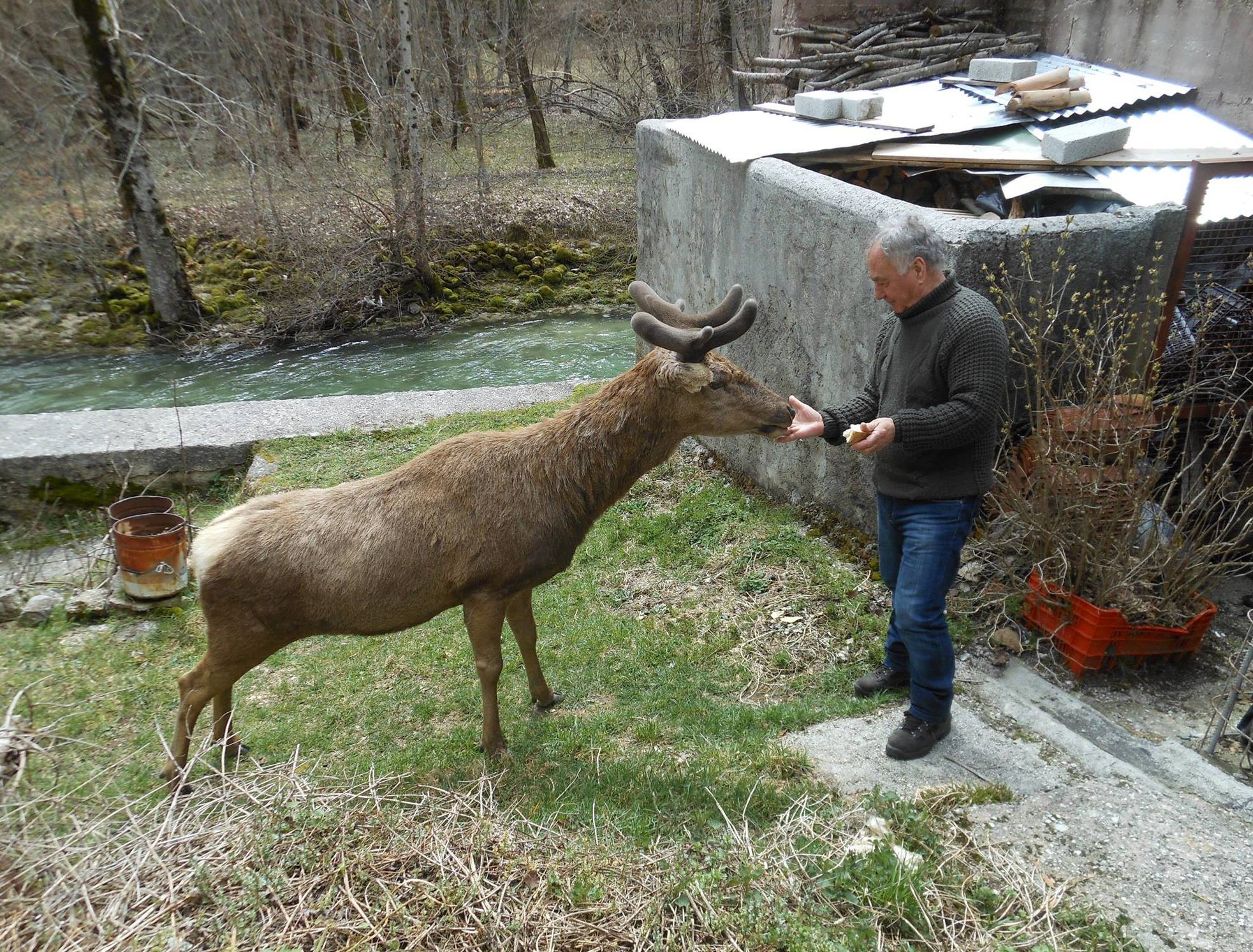 IL GUADO DELLA VALLE | Civitella Alfedena