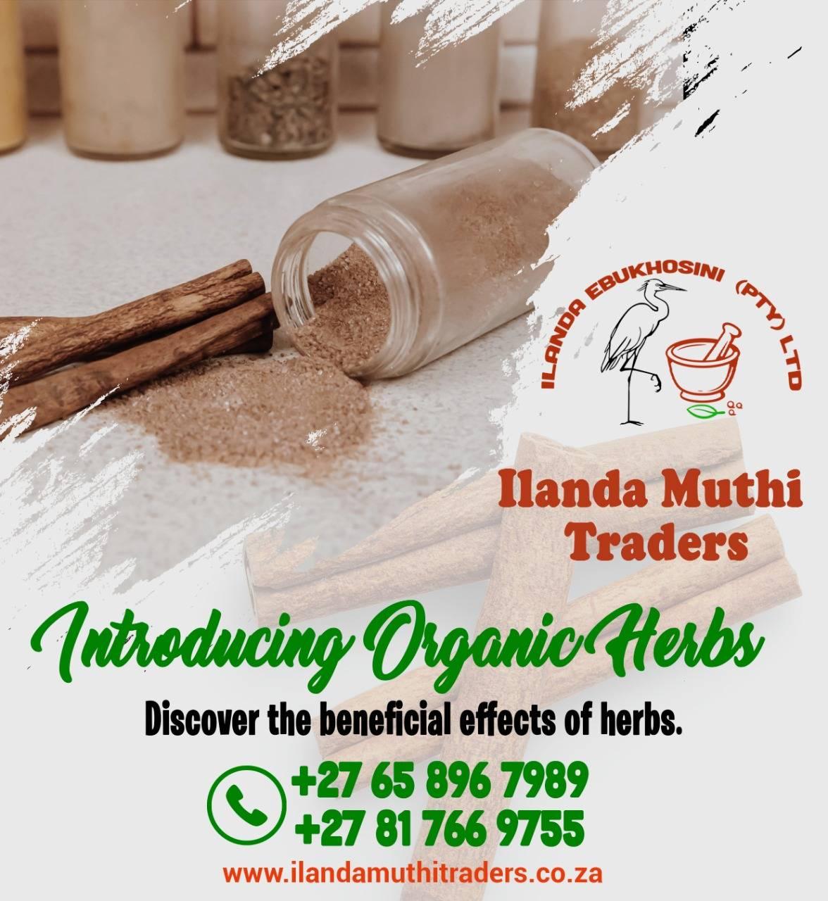 Ilanda Muthi Traders & Isigayo