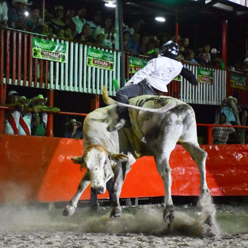 Extreme Bull Nicaragua