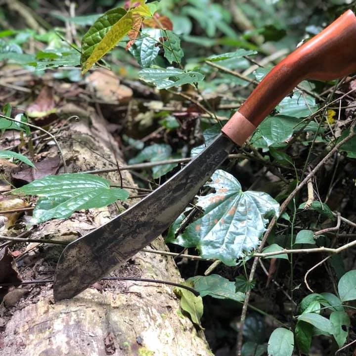 Parang Petualang Rimba