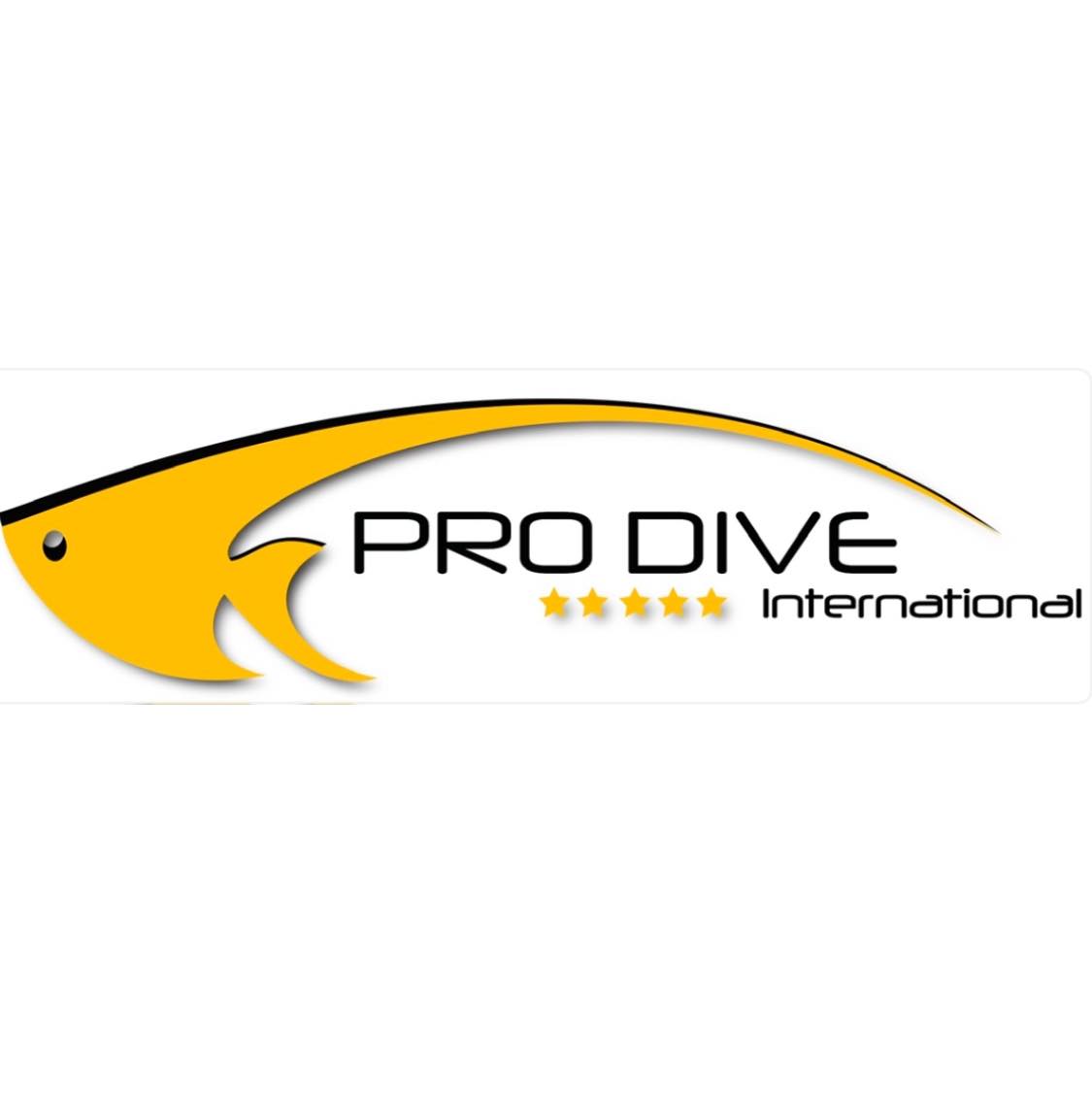 Pro Dive International PADI 5 Star Scuba Centers | Playa del Carmen