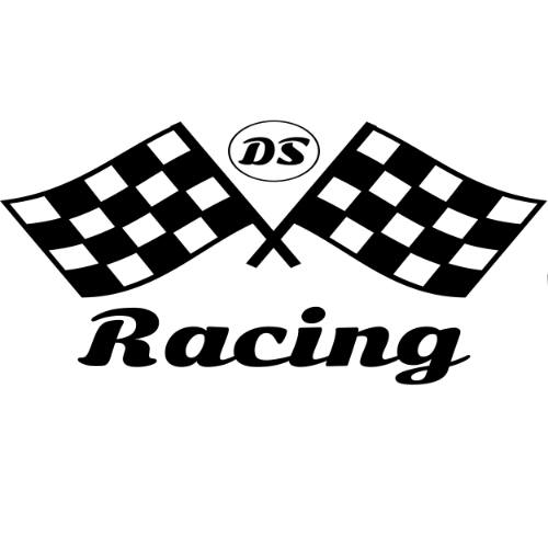 DS Racing