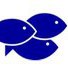 MemFish | Memphis TN