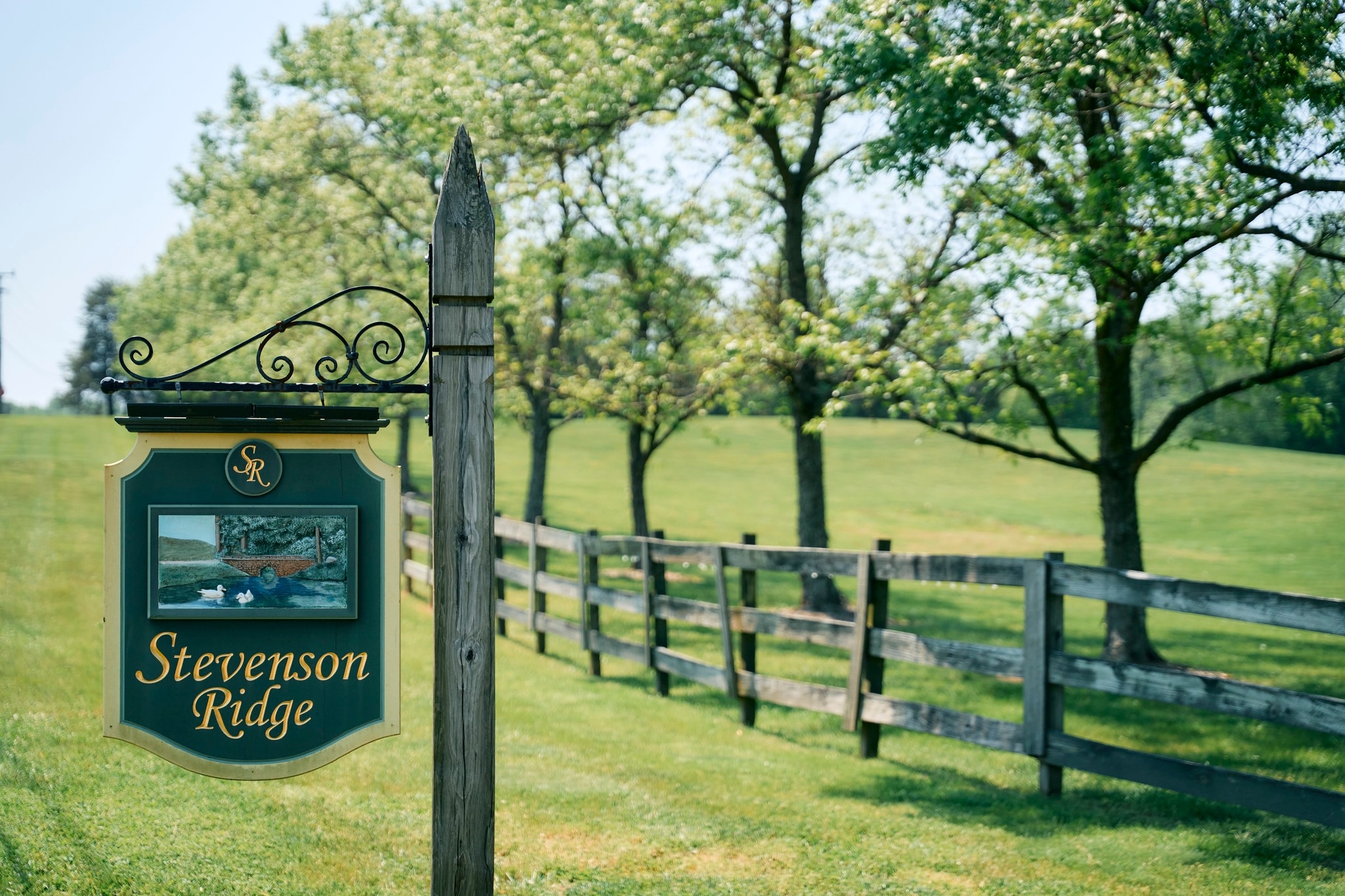 Stevenson Ridge | Spotsylvania VA
