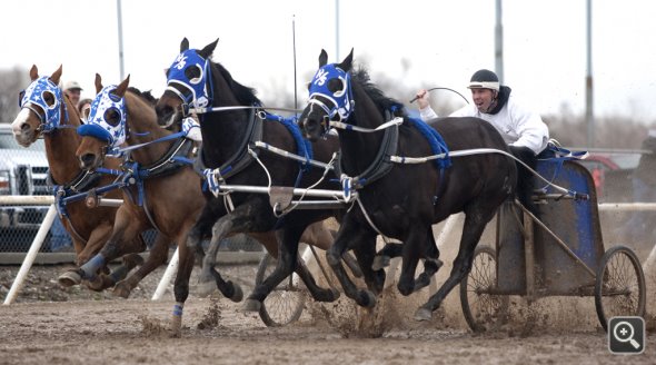 World Championship Cutter and Chariot Racing Association WCC&CRA | Ogden UT