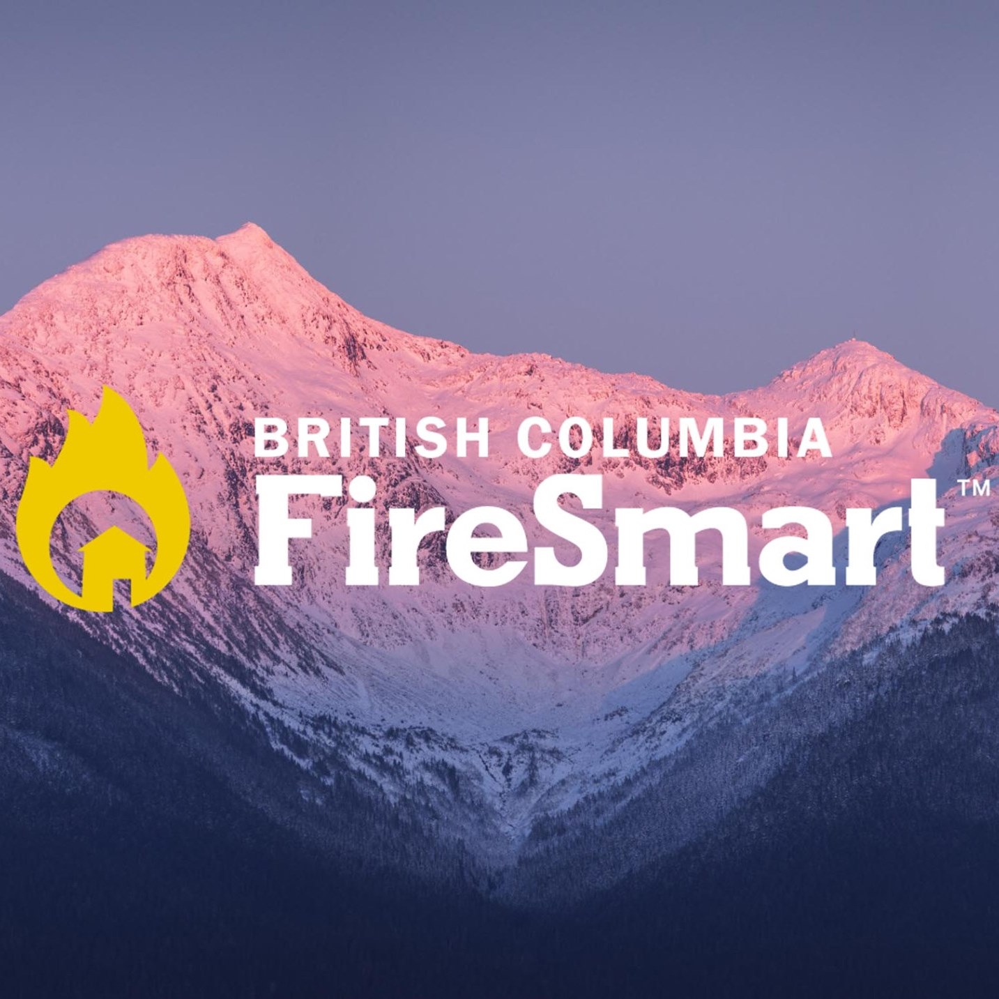 FireSmart - There are 4 different stages of fire. Understand each stage ...