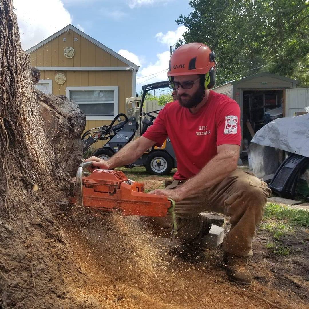 Blue Ox Tree Service