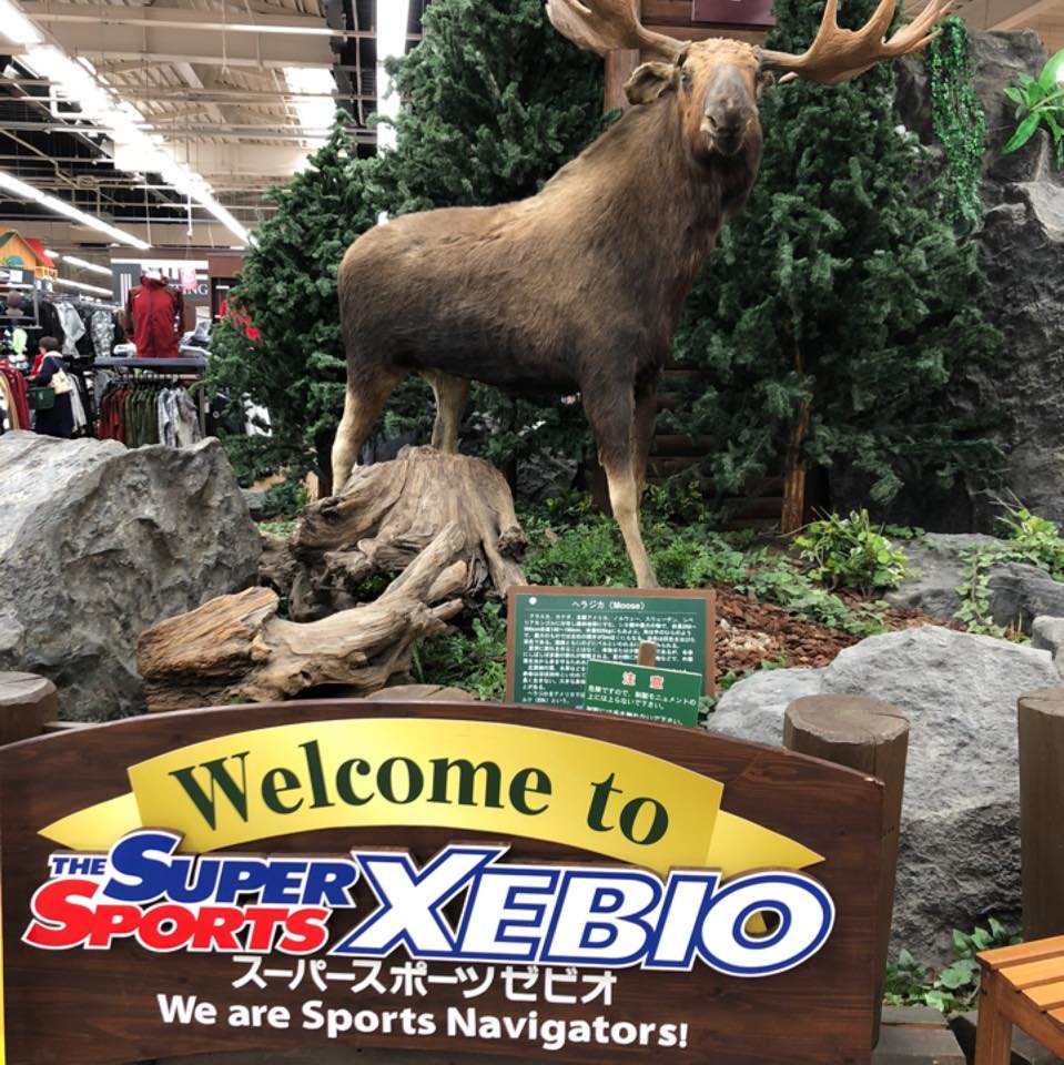 スーパー スポーツ ゼビオ 長野 南 高田 店