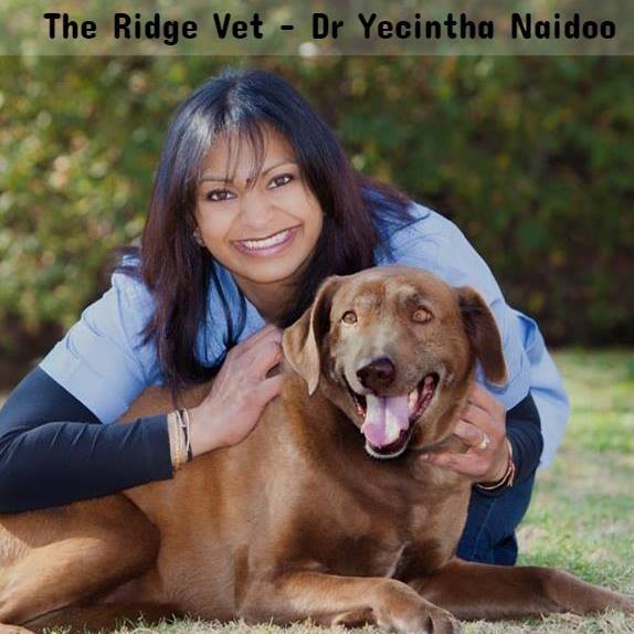 The Ridge Vet and Pet Spa... - The Ridge Vet and Pet Spa