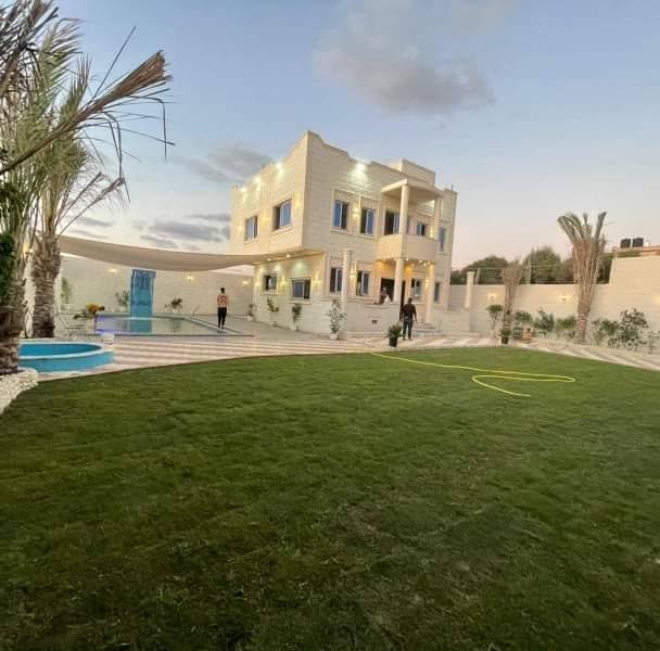 4-cats-gaza