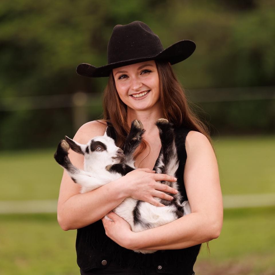 Rabbit Breeds and Aggression Comparison