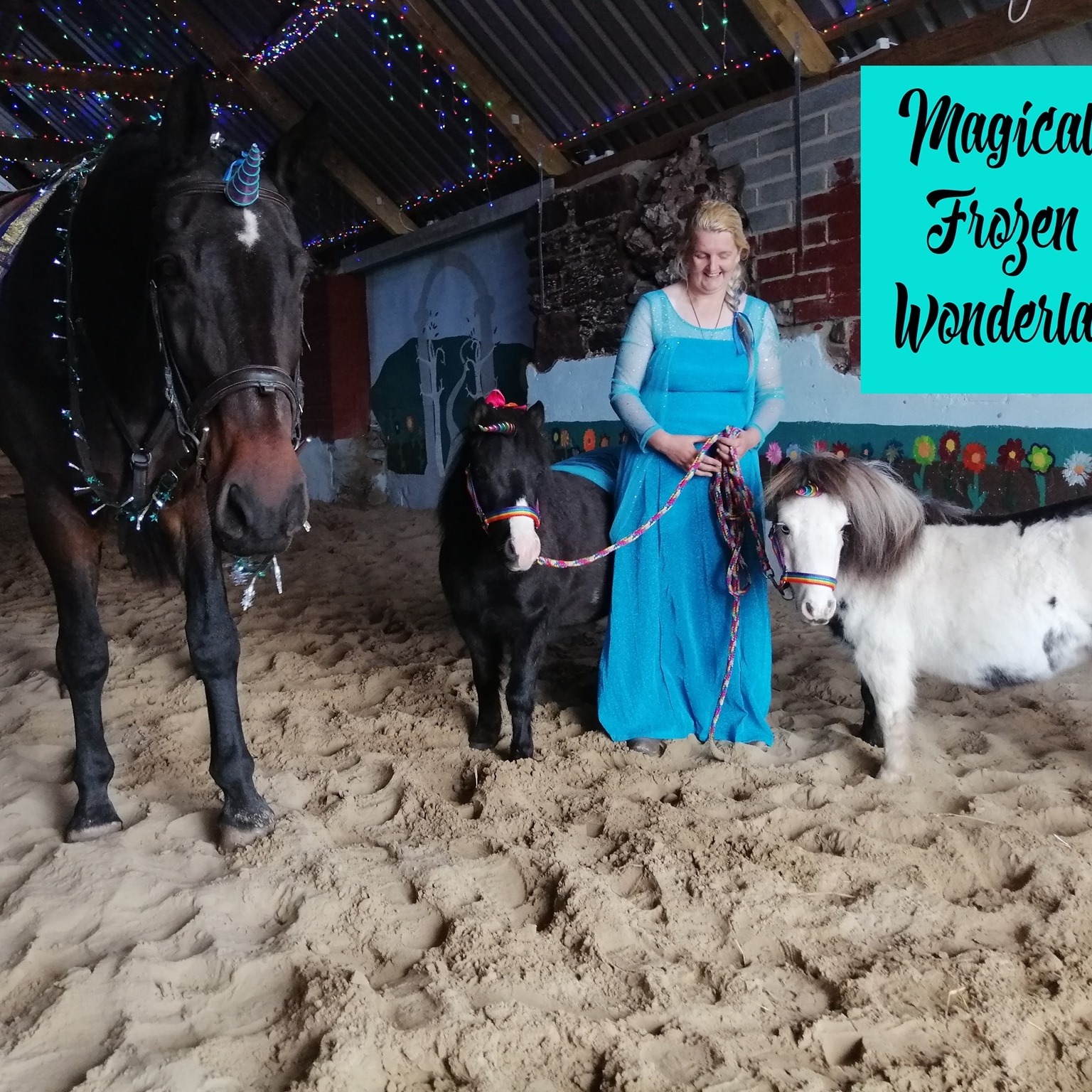 Tenby Carriage rides