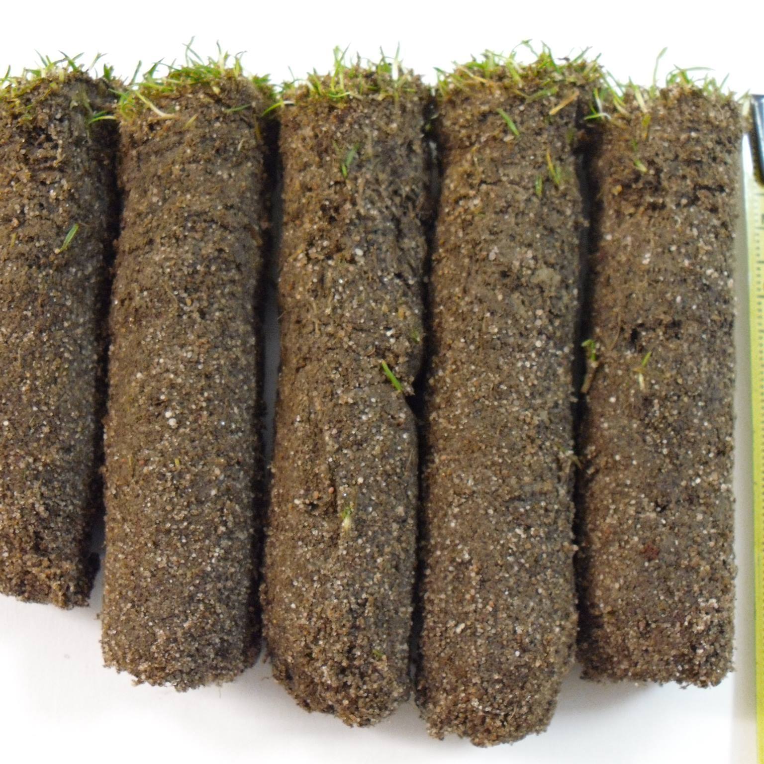 European Turfgrass Laboratories Ltd | Stirling
