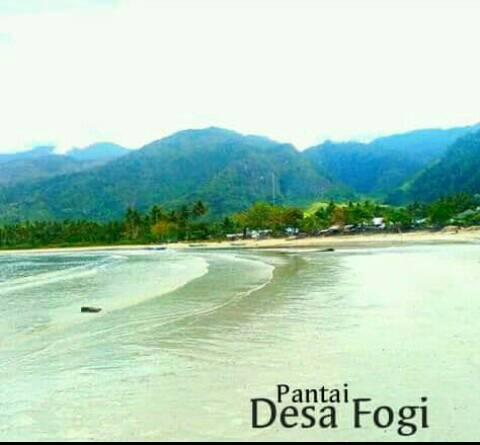 Pesona Regensaf Fogi