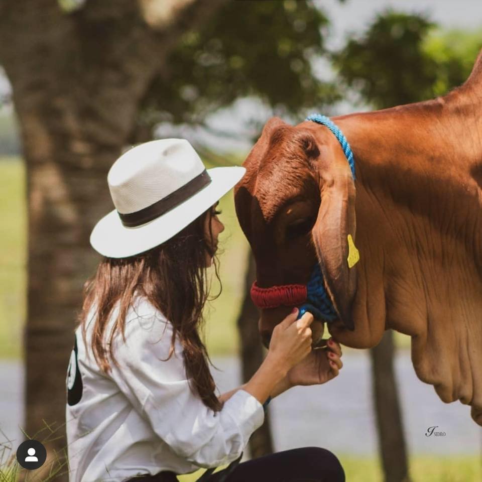 Alma Romero