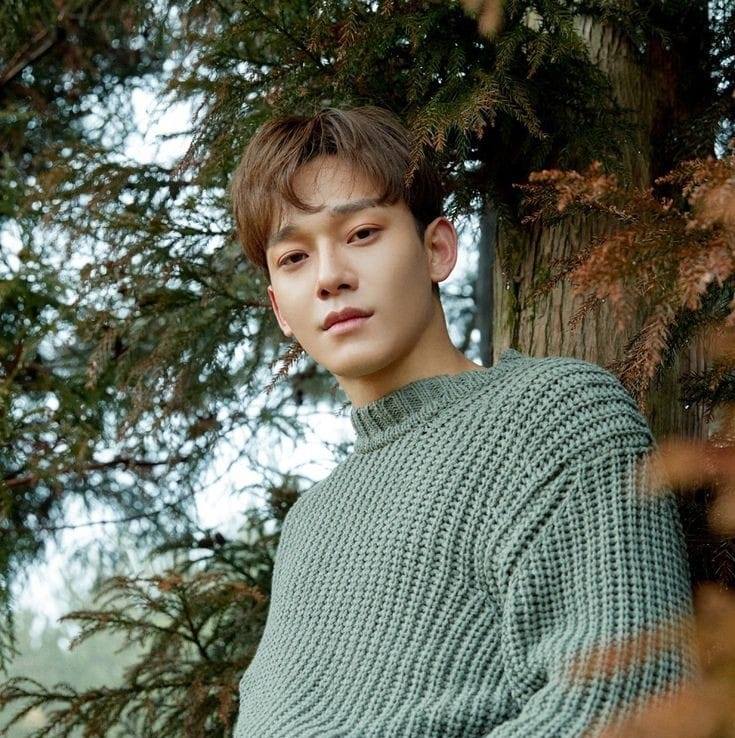 CHEN Exofan Thailand