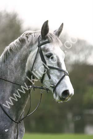 Timbertops Animal Agency & Equestrian Centre | Pontefract