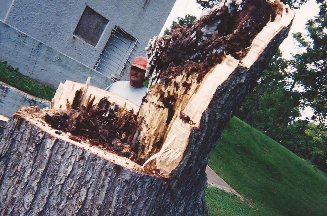 R&S TREE Service | Marion IN