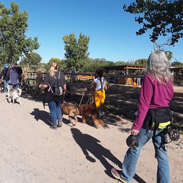 Elite K9 Corrales | Rio Rancho NM