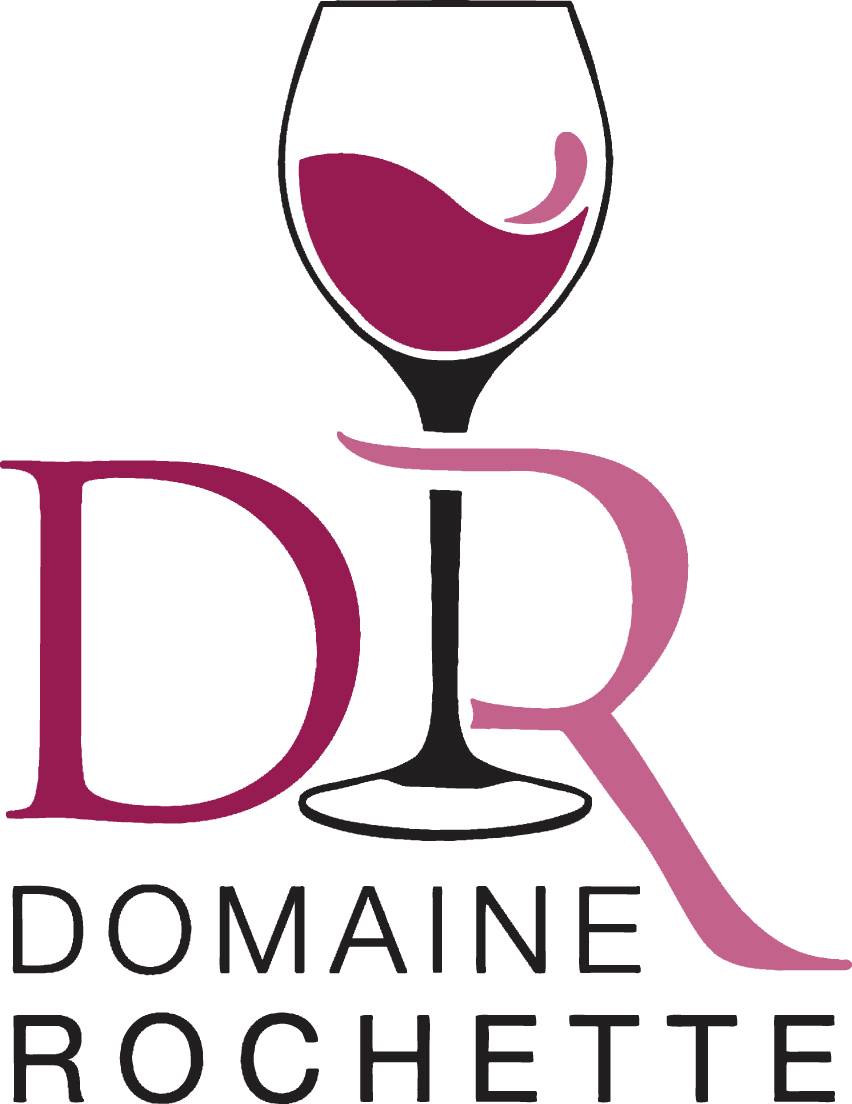 Domaine Rochette | Régnié