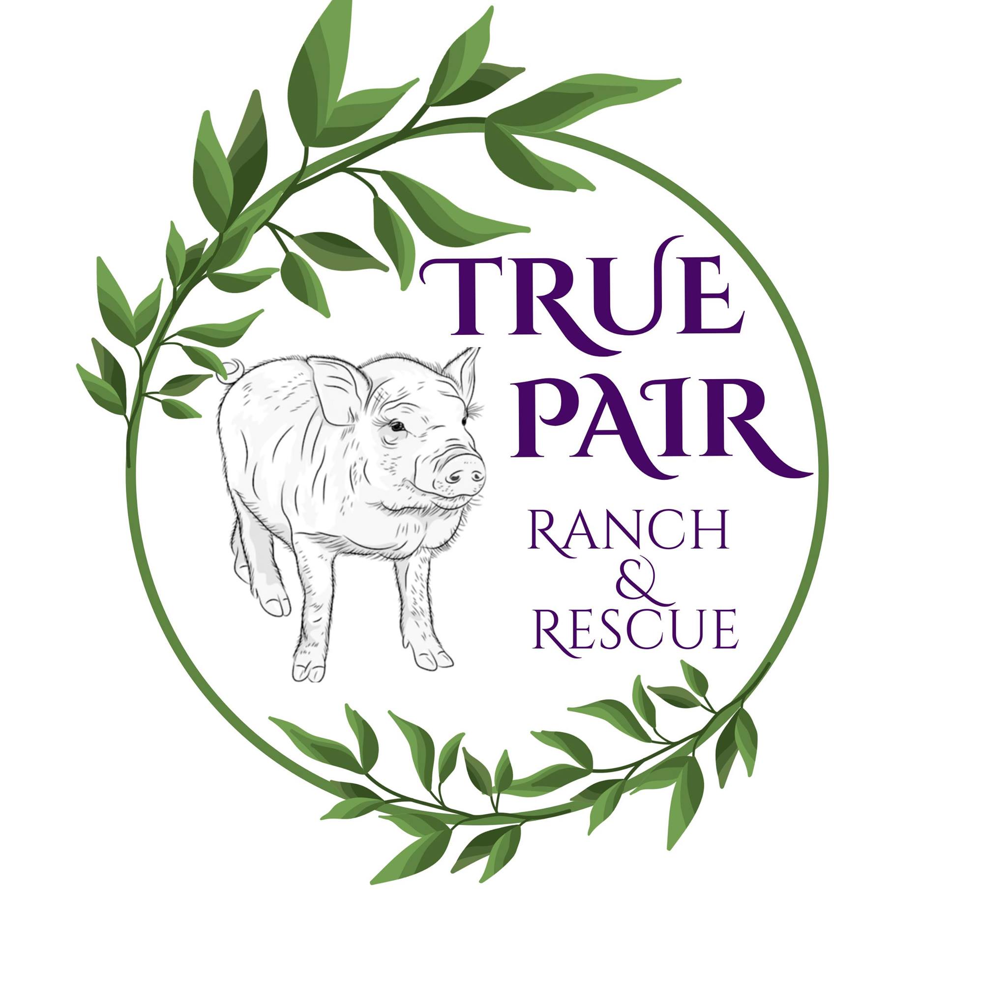 True Pair Ranch and Rescue inc.