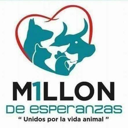 Pro-Animal Campeche AC