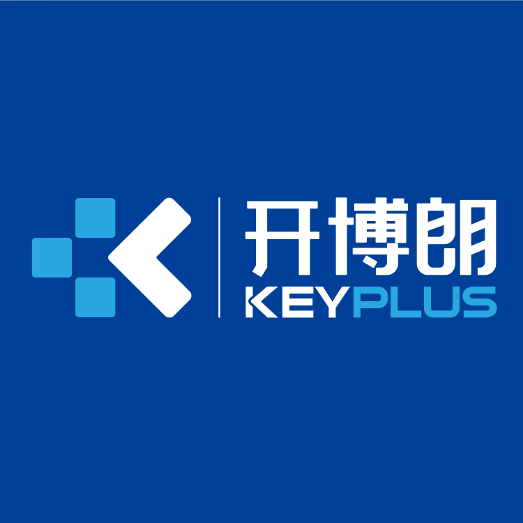 Keyplus Smart Door Lock