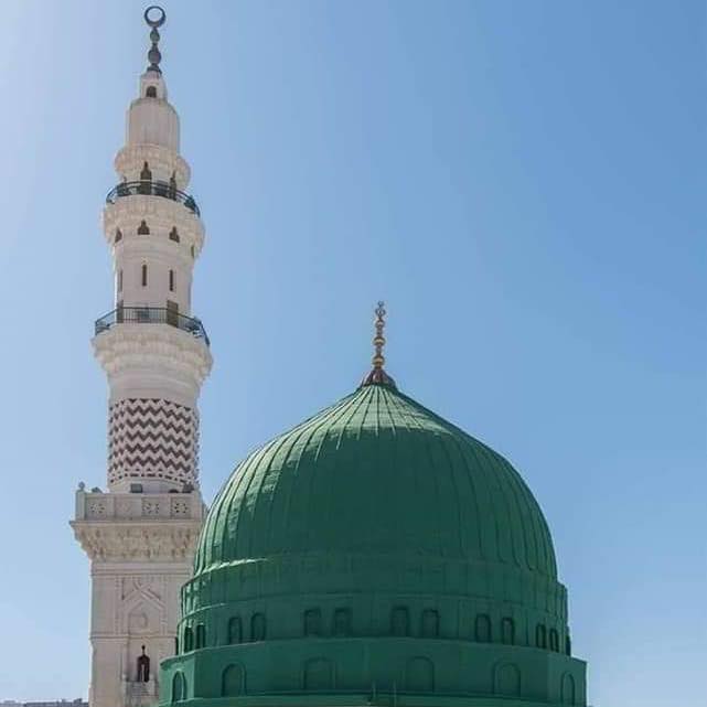 الشمائل - ‏كان سيدنا رسول الله ﷺ فَخْما مُفَخّمًا، عظيم الهامَة، عريض ...