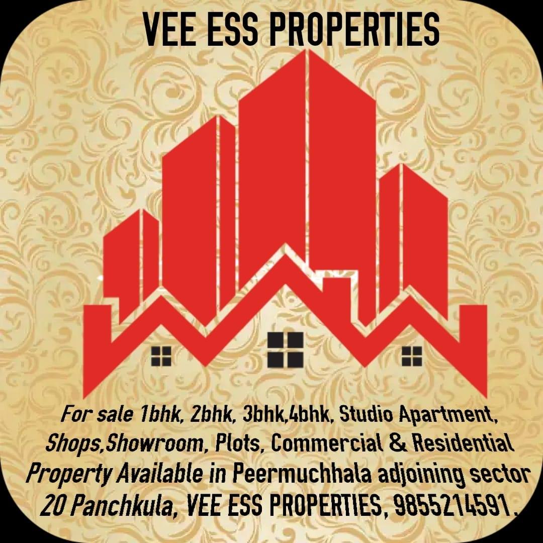 VEE ESS Properties | Panchkula