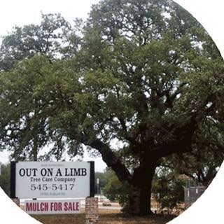 Out On A Limb Tree Care