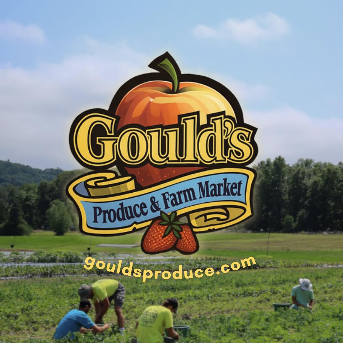 🍓 That’s a wrap on strawberry season! We are completely finished ...
