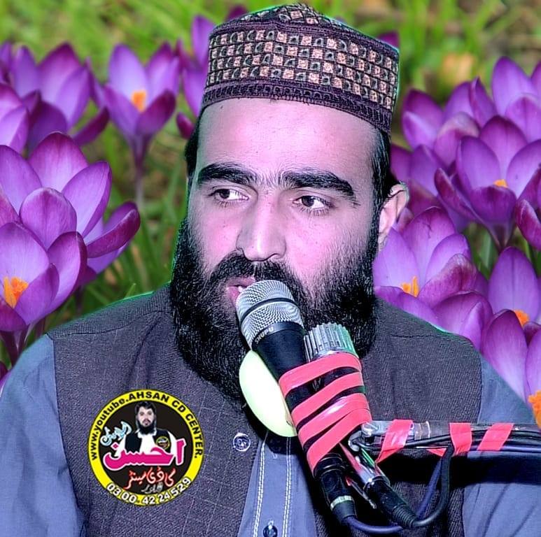 حافظ صفوان احمد فاروقی