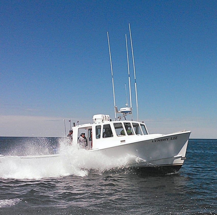 Bass River Charters | South Yarmouth MA