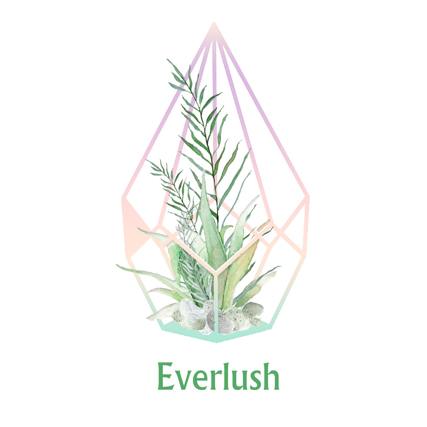 Everlush Singapore