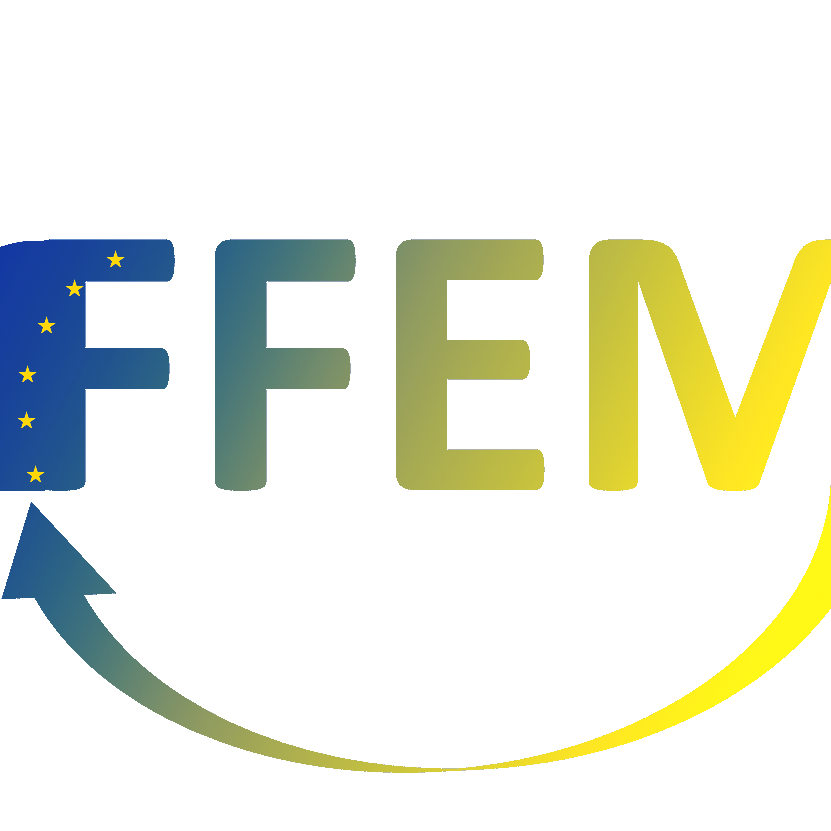 FFEM