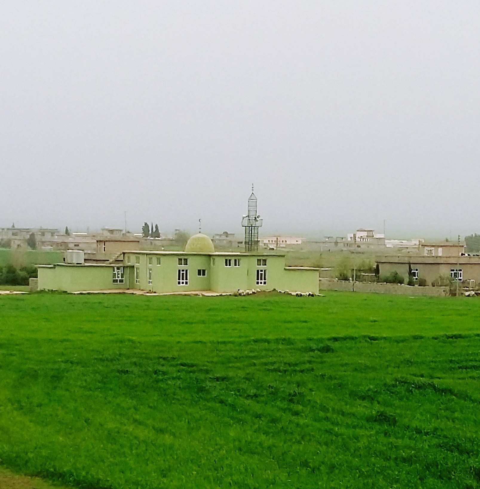 بنەماڵەی موسا دیناران گوندی پیربووب