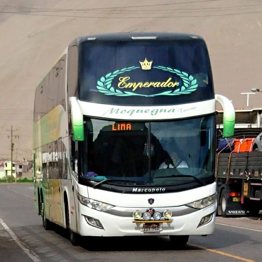 Arequipa Vía Sur - AVS BUS