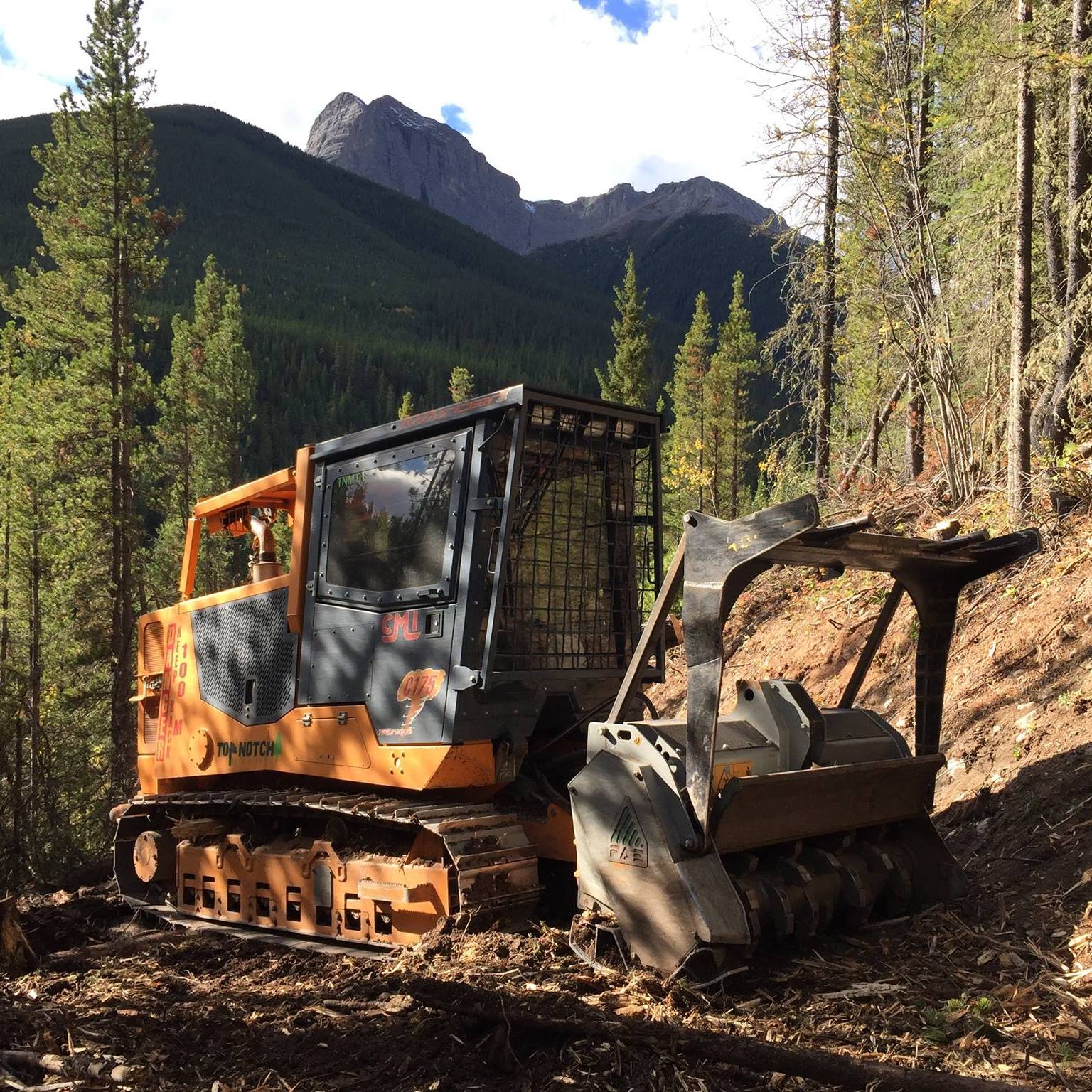 Top Notch Tree Services | Okotoks AB