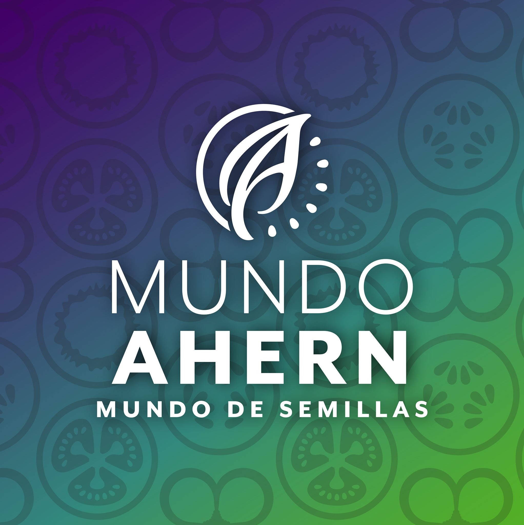 Ahern Logo