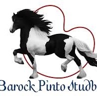 Barock Pintos UK