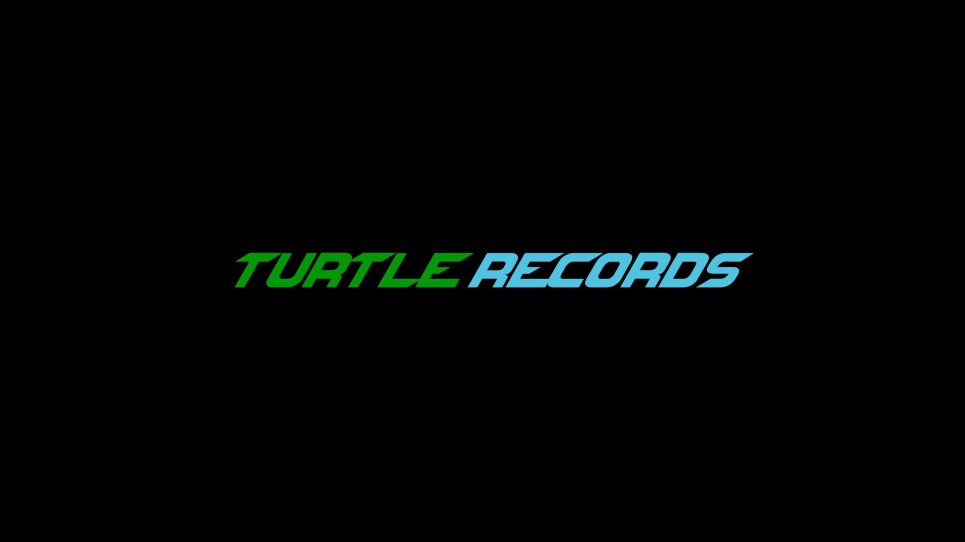 Turtle Records | Kathmandu